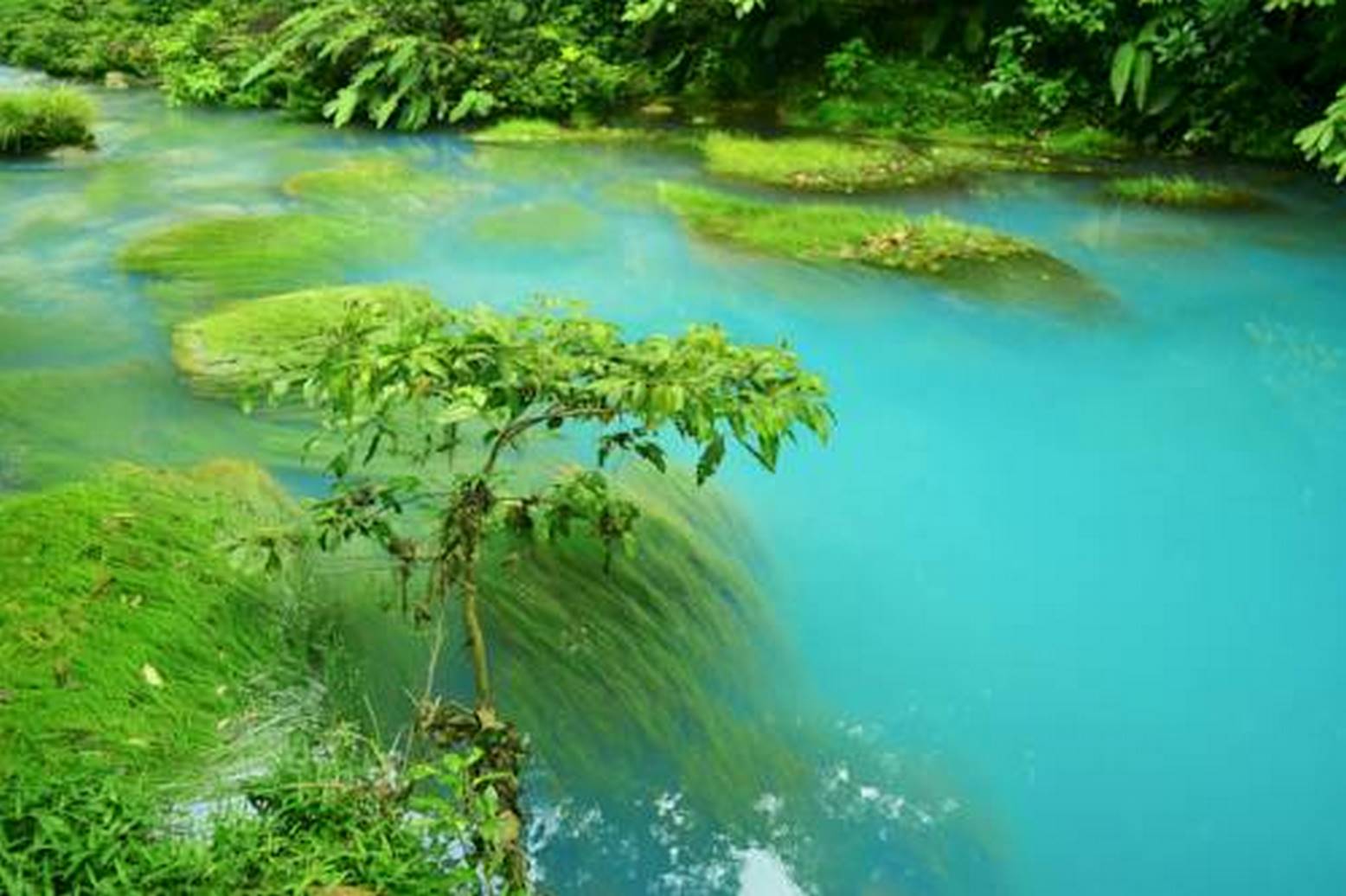 The most amazing things to do in Guanacaste Costa Rica